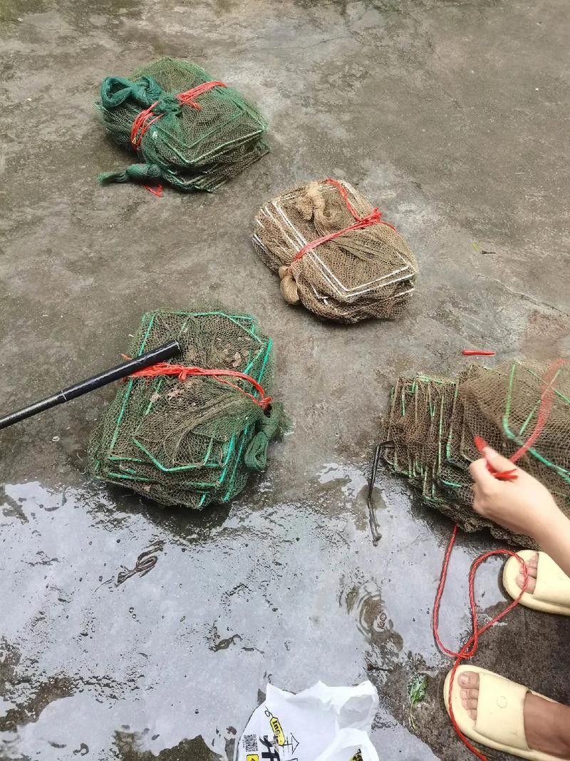 捕魚地籠的正確使用方法（地籠捕魚的正確方法）