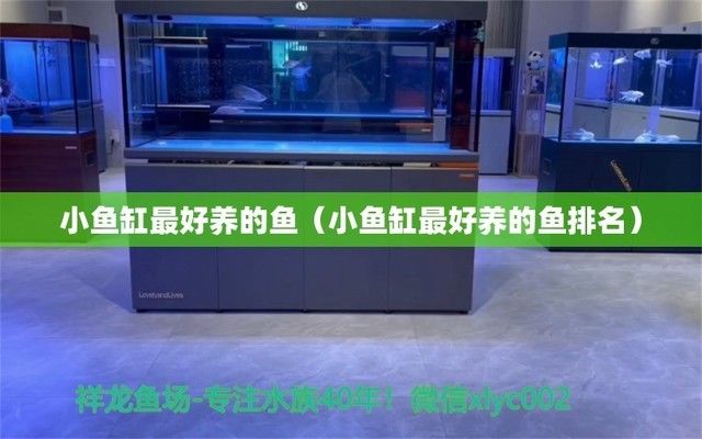 魚(yú)缸背景紙的選擇（家庭裝修魚(yú)缸背景紙的選擇）