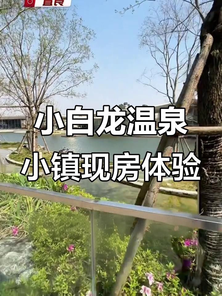 昆明宜良小白龍溫泉小鎮實景展示:溫馨家園與自然美景相融（云南昆明宜良小白龍溫泉小鎮實景展示:溫馨家園與自然美景相融） 昆明宜良小白龍溫泉小鎮實景展示:溫馨家園與自然美景相融（云南昆明宜良小白龍溫泉小鎮實景展示:溫馨家園與自然美景相融） 觀賞魚百科 第1張