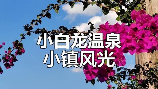 昆明宜良小白龍溫泉小鎮實景展示:溫馨家園與自然美景相融（云南昆明宜良小白龍溫泉小鎮實景展示:溫馨家園與自然美景相融） 昆明宜良小白龍溫泉小鎮實景展示:溫馨家園與自然美景相融（云南昆明宜良小白龍溫泉小鎮實景展示:溫馨家園與自然美景相融） 觀賞魚百科 第2張