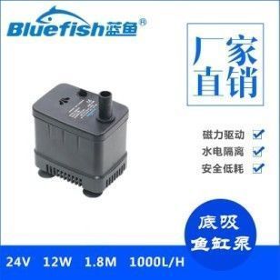 金龍魚養(yǎng)多長時(shí)間發(fā)色最好呢（金龍魚養(yǎng)多長時(shí)間發(fā)色最好）