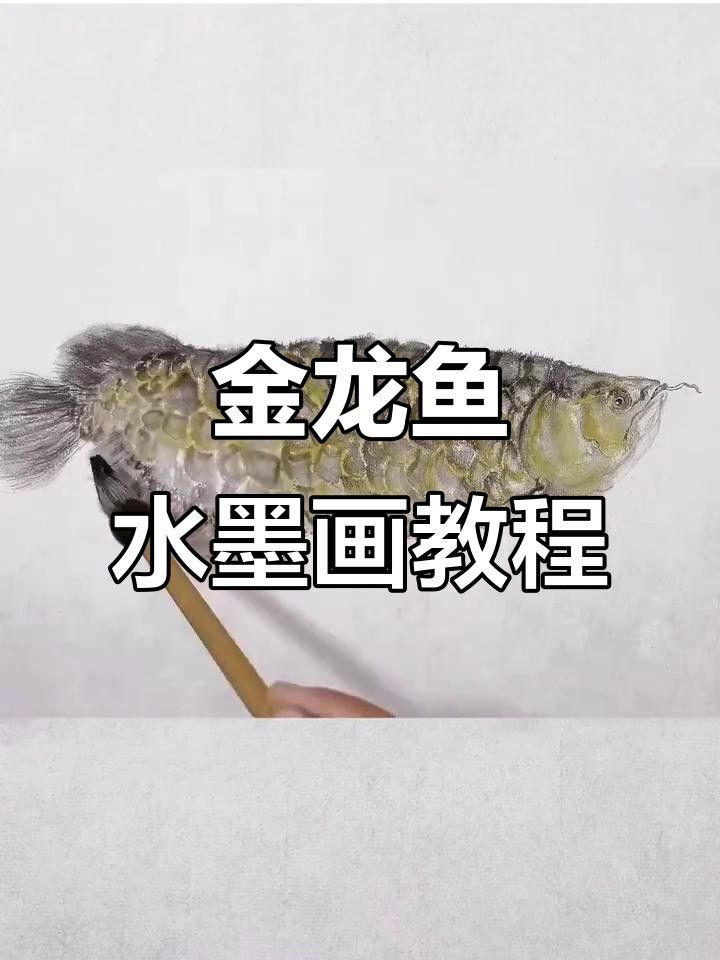 龍魚的畫法步驟大全圖解（魚的畫法步驟大全圖解）