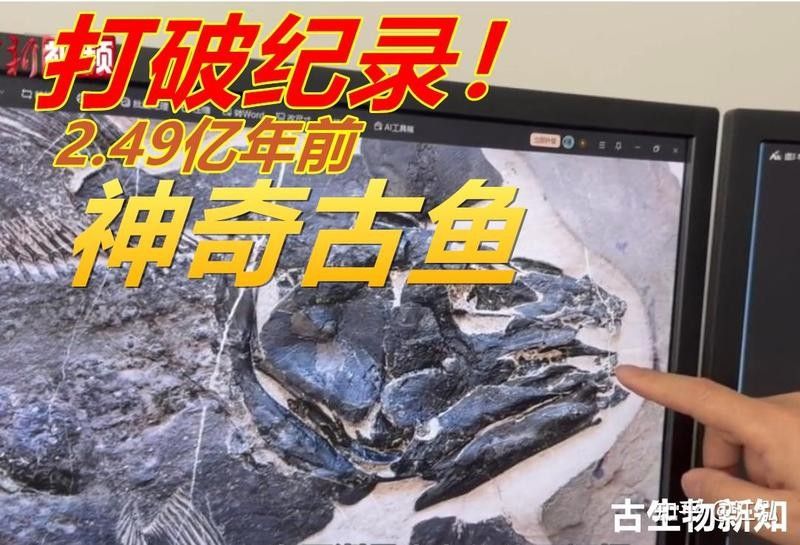 江泓，盤點那些名貴的觀賞魚，第一種越養(yǎng)越值錢（新安龍魚有哪些獨特的品種特征新安龍魚有哪些獨特的品種）