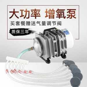 韓城觀賞魚市場新受邀的印尼黑人吧，什么時候清楚？（韓城觀賞魚市場新受邀的印尼黑人）