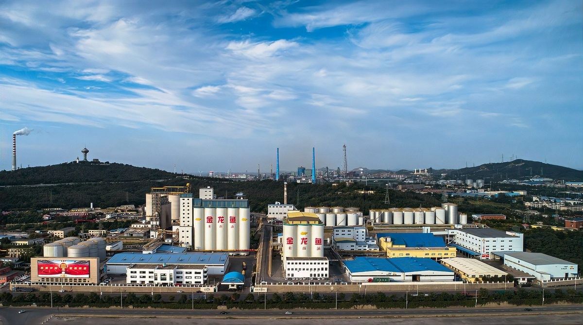 高縣金龍魚的市場占有率如何？（高縣文江鎮金龍魚巷是什么企業）