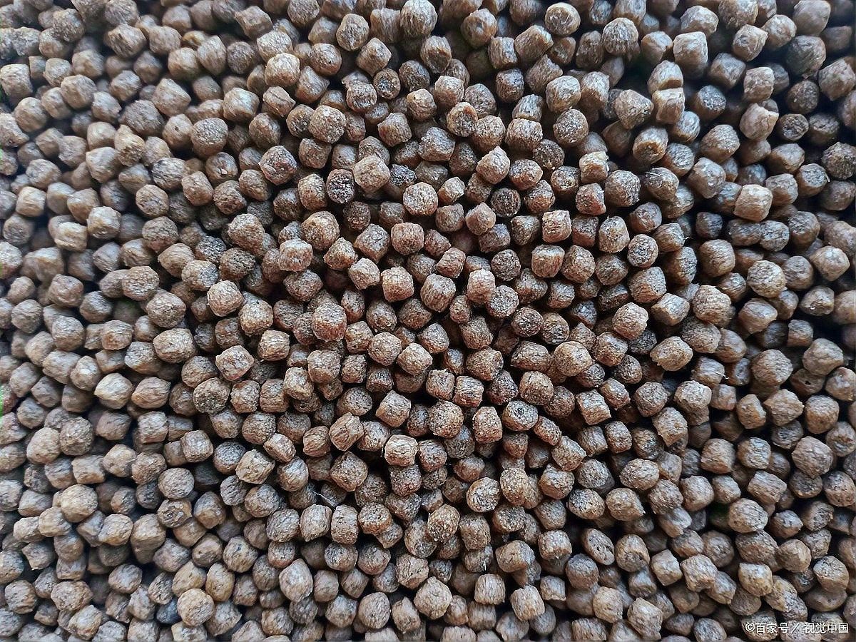 十大魚糧品牌推薦（十大魚糧品牌實測推薦） 十大魚糧品牌推薦（十大魚糧品牌實測推薦） 觀賞魚百科 第4張