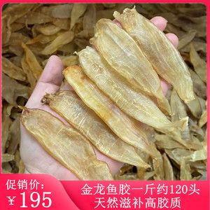 廣州市龍魚(yú)三大商家有哪些店鋪和店鋪的介紹（廣州市龍魚(yú)三大商家有哪些店鋪） 廣州市龍魚(yú)三大商家有哪些店鋪和店鋪的介紹（廣州市龍魚(yú)三大商家有哪些店鋪） 觀賞魚(yú)百科 第1張