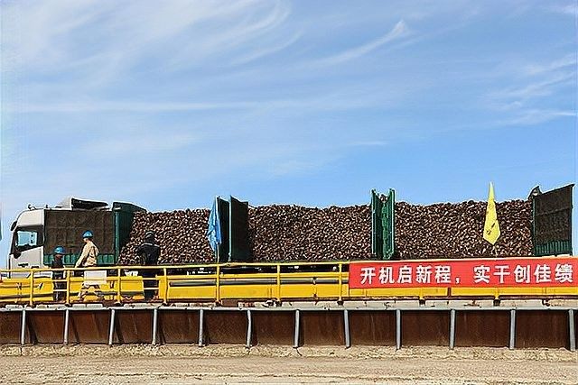 科右前旗金龍魚與哪些企業(yè)有合作關(guān)系？（內(nèi)蒙古科右前旗金龍魚與哪些企業(yè)有合作關(guān)系） 科右前旗金龍魚與哪些企業(yè)有合作關(guān)系？（內(nèi)蒙古科右前旗金龍魚與哪些企業(yè)有合作關(guān)系） 觀賞魚百科 第7張