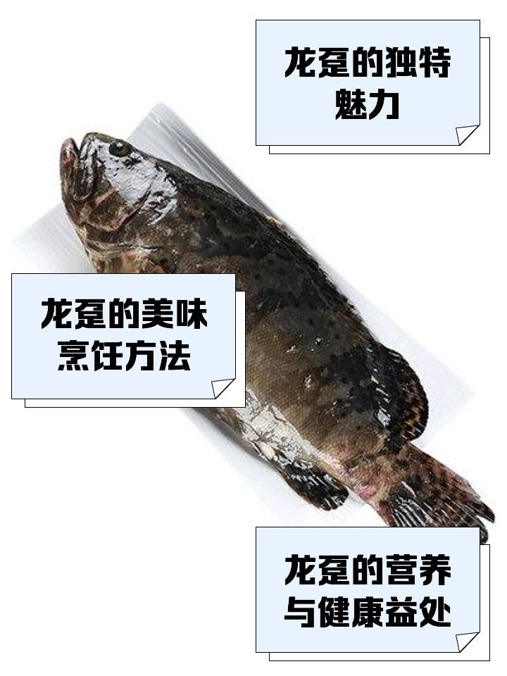 龍躉魚是淡水魚還是海魚？（龍躉魚在淡水中的生存時間有多長）