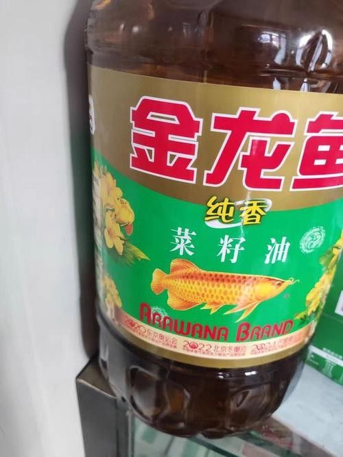 金龍魚的自然色澤（62cm金龍魚完美呈現自然之美難得一見）