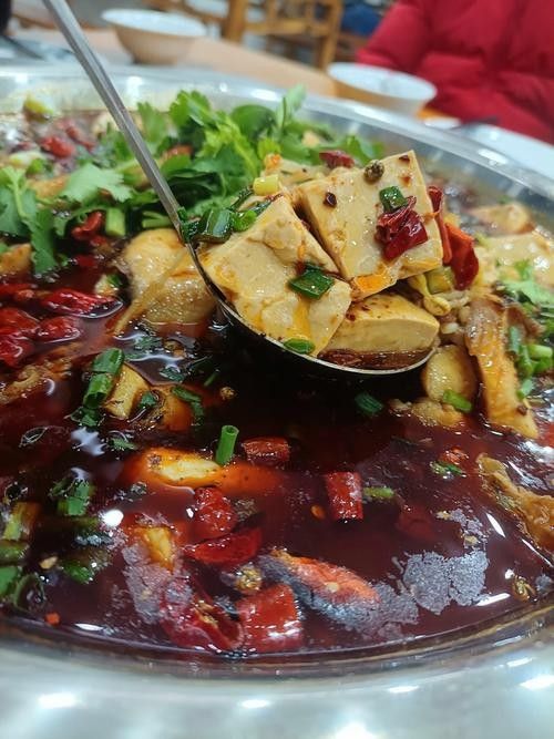 內江魚館中哪家魚館最有特色，內江哪家魚館最有特色（內江哪家魚館最有特色，）