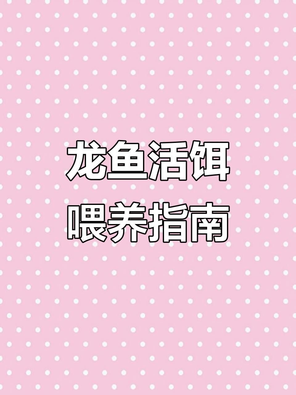 龍魚(yú)喂食全攻略:從蝦肉到昆蟲(chóng),哪種食物最適合龍魚(yú)喂養(yǎng)（帝龍漁業(yè)|龍魚(yú)喂食全攻略龍魚(yú)喂食全攻略）