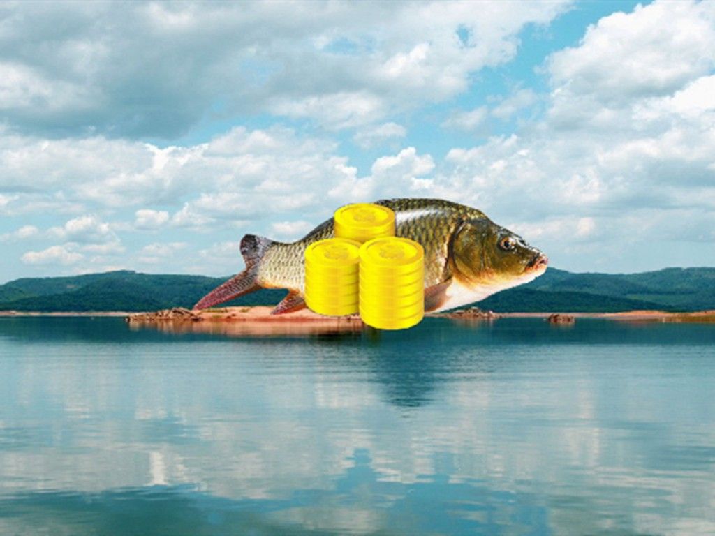 廣東東平水道（廣東）魚類資源豐富，魚類資源豐富多樣（東平水道的魚類資源如何？）