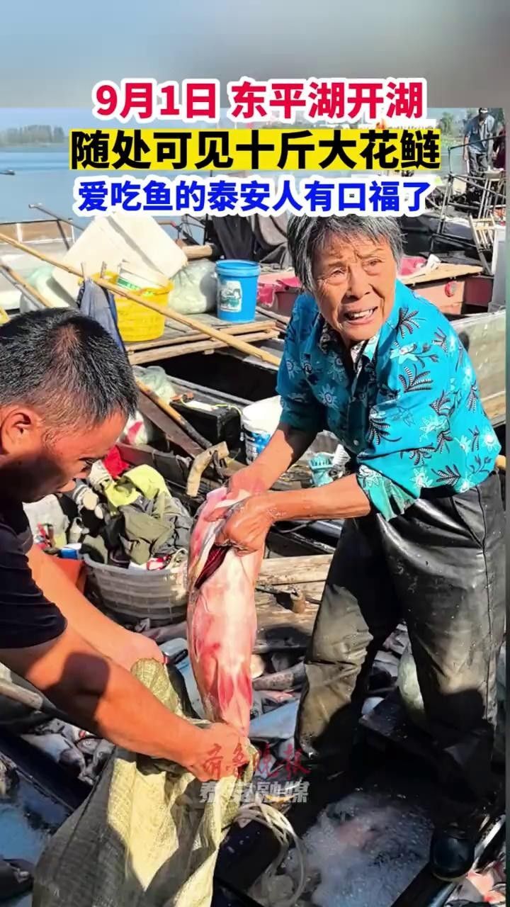 廣東東平水道（廣東）魚類資源豐富，魚類資源豐富多樣（東平水道的魚類資源如何？）