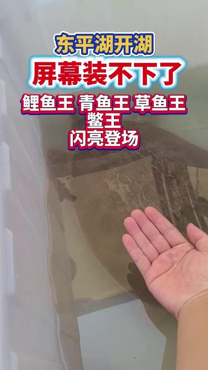 廣東東平水道（廣東）魚類資源豐富，魚類資源豐富多樣（東平水道的魚類資源如何？）