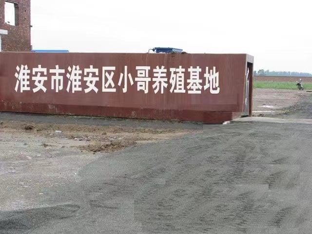 淮安市淮安區(qū)紅龍魚飼養(yǎng)的詳細(xì)指南淮安區(qū)有哪些紅龍魚供應(yīng)商（淮安區(qū)紅龍魚飼養(yǎng)指南）