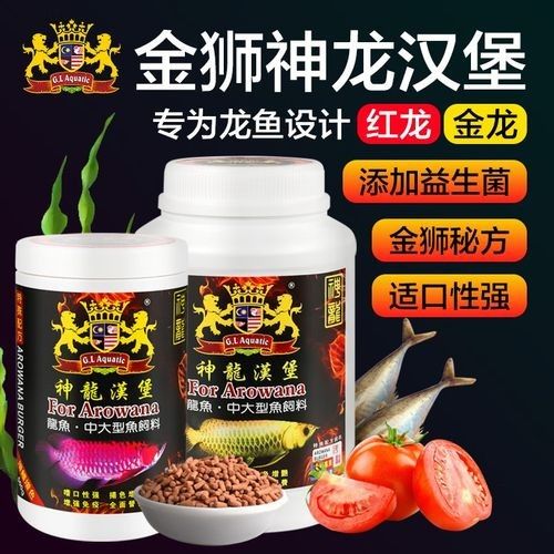 金龍魚苗飼養技術（金龍魚幼崽長什么樣饞啥攻略金龍魚幼崽長什么樣饞啥）