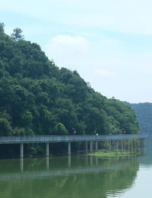 臨安青山湖的最佳釣位在哪里？（臨安青山湖最佳釣位在哪里？）