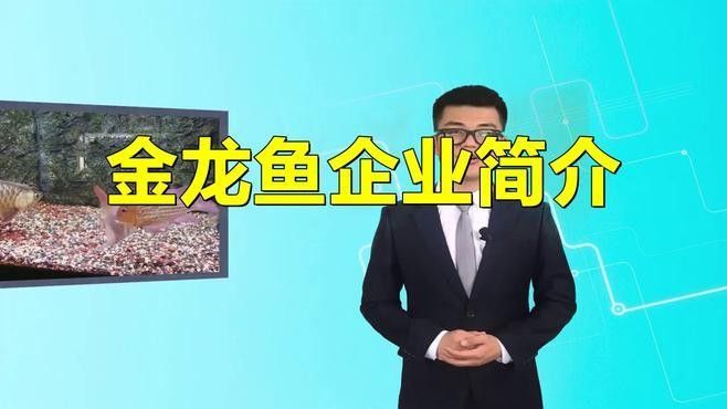 金龍魚在綏德的銷售渠道有哪些？（綏德金龍魚品牌在綏德地區銷售的產品或相關業務）