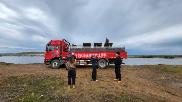 海拉爾龍魚的市場價格是多少？（海拉爾龍魚是一種新的觀賞魚，）