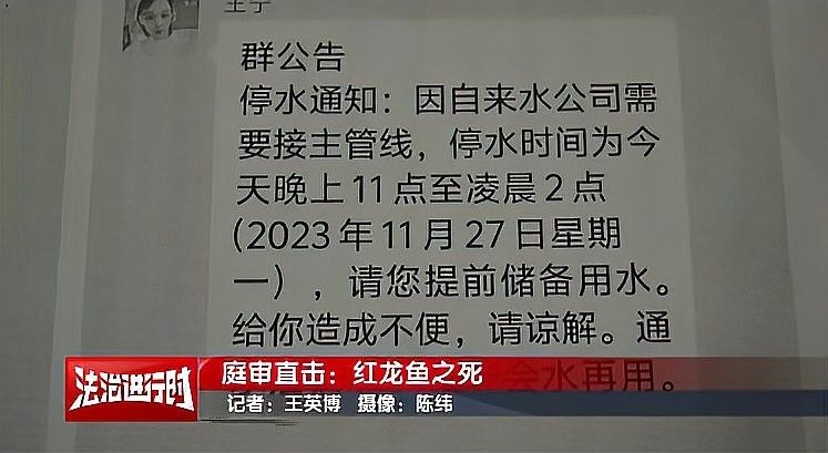 鄲城紅龍魚飼養(yǎng)技巧（河南周口鄲城紅龍魚飼養(yǎng)技巧:水質(zhì)管理全攻略） 鄲城紅龍魚飼養(yǎng)技巧（河南周口鄲城紅龍魚飼養(yǎng)技巧:水質(zhì)管理全攻略） 觀賞魚百科 第10張