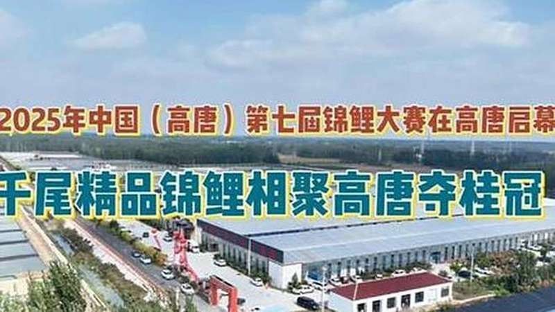 錦鯉之家論壇的活躍程度如何？如何在錦鯉之家論壇發帖交流？（錦鯉之家論壇是一個專注于錦鯉養殖愛好者的在線社區） 錦鯉之家論壇的活躍程度如何？如何在錦鯉之家論壇發帖交流？（錦鯉之家論壇是一個專注于錦鯉養殖愛好者的在線社區） 觀賞魚百科 第1張