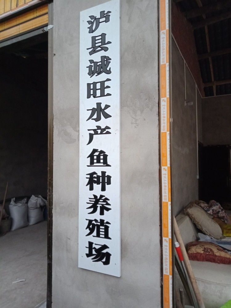 瀘縣龍魚的養(yǎng)殖技術(shù)（四川瀘縣龍魚養(yǎng)殖技巧與注意事項(xiàng)蘿蔓與書展開）