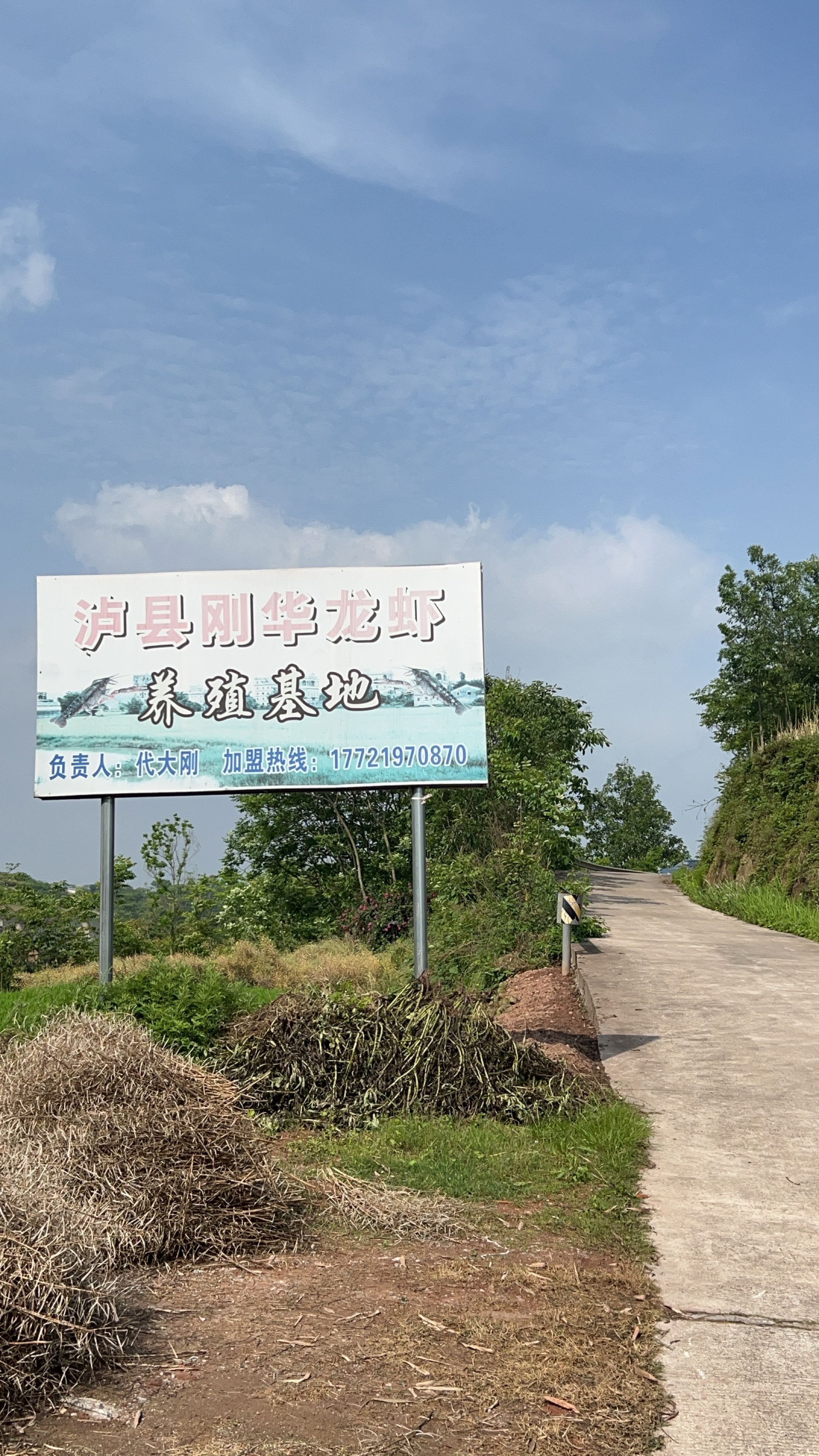 瀘縣龍魚的養(yǎng)殖技術(shù)（四川瀘縣龍魚養(yǎng)殖技巧與注意事項(xiàng)蘿蔓與書展開）
