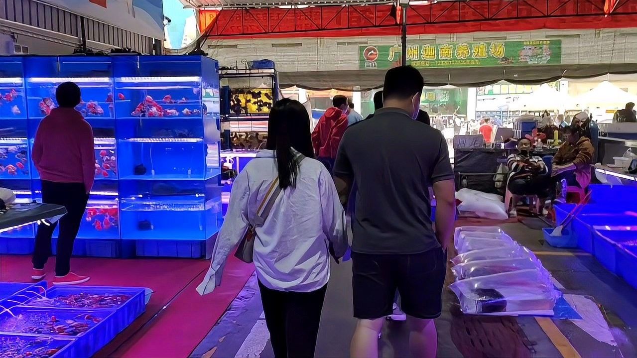 廣州芳村龍魚批發(fā)市場是您尋找高品質(zhì)龍魚的理想之地（廣州芳村龍魚批發(fā)市場怎么樣？）