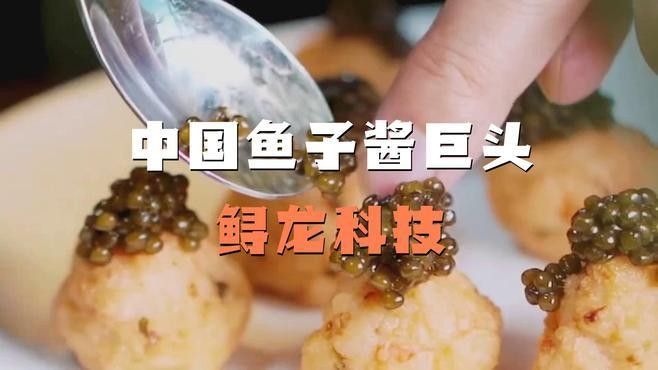 鱘龍科技沖刺“港股魚子醬第一股”｜ipo直通車（浙產(chǎn)魚子醬是真的“爆款擔(dān)當(dāng)”錢江晚報(bào)凈利潤率超貴州茅臺）