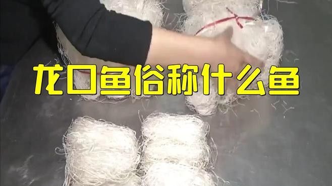 龍口魚的最佳烹飪方法是什么龍口魚的最佳烹飪方法是什么（龍口魚的最佳烹飪方法是什么龍口魚有哪些營(yíng)養(yǎng)價(jià)值）
