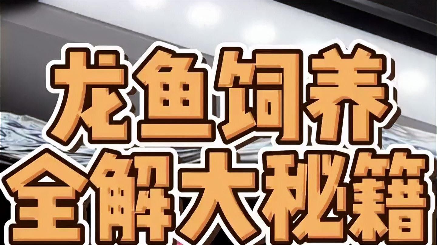 老邊龍魚最簡單的三個步驟（老邊龍魚最簡單、最直接的三個步驟）