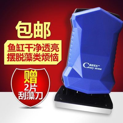 龍魚的排數的相關知識，龍魚排數的計算方法和飼養方法（如何準確判斷龍魚的排數）