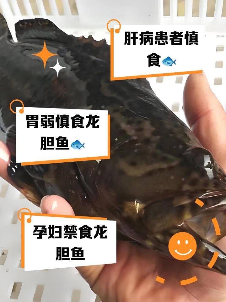 龍膽魚為何不建議吃秦牧歌龍膽魚盡量少吃的幾個原因（為何龍膽魚盡量少吃）