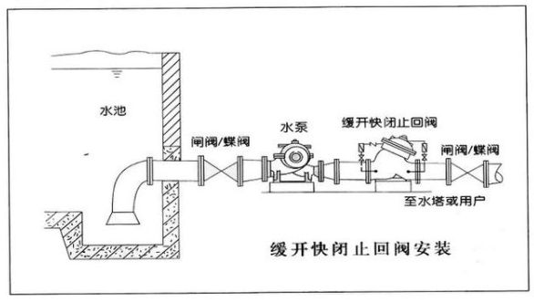 龍魚感染寄生蟲癥狀表現（龍魚感染寄生蟲癥狀表現圖片）
