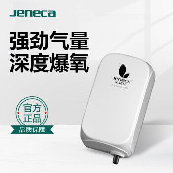 龍魚繁殖速度快，需要注意以下幾點（如何選擇龍魚繁殖速度快）