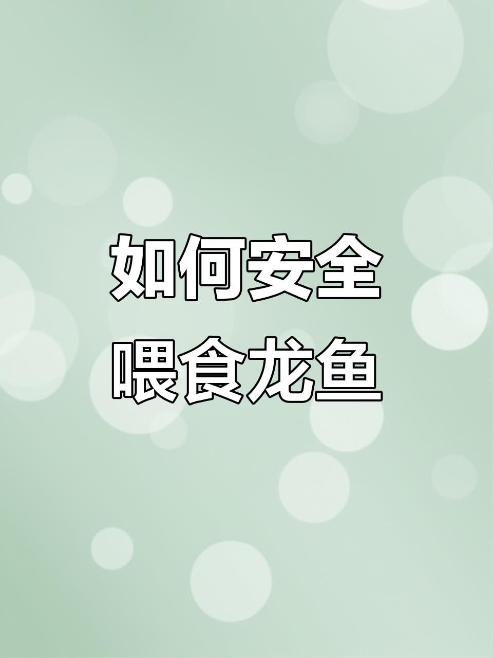 龍魚能吃煮熟的蝦嗎？（11話龍魚食之趣談篇：龍魚能吃煮熟的蝦）
