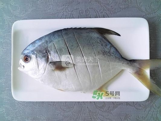 熱帶中層魚哪些能和龍魚一起養殖（關于熱帶中層魚哪些能和龍魚一起養殖）