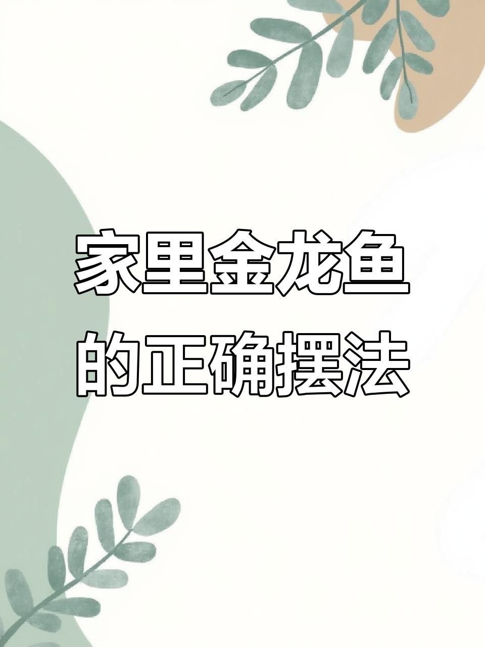 招財龍魚擺放的最佳位置（如何擺放招財龍魚）