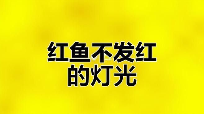 吉印水族是否屬于雜牌，吉印水族的主要競爭對手有哪些（“吉印水族是否屬于雜牌”，吉印水族的主要競爭對手有哪些）