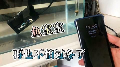 吉印水族是否屬于雜牌，吉印水族的主要競爭對手有哪些（“吉印水族是否屬于雜牌”，吉印水族的主要競爭對手有哪些）