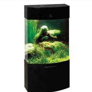 吉印水族是否屬于雜牌，吉印水族的主要競爭對手有哪些（“吉印水族是否屬于雜牌”，吉印水族的主要競爭對手有哪些）