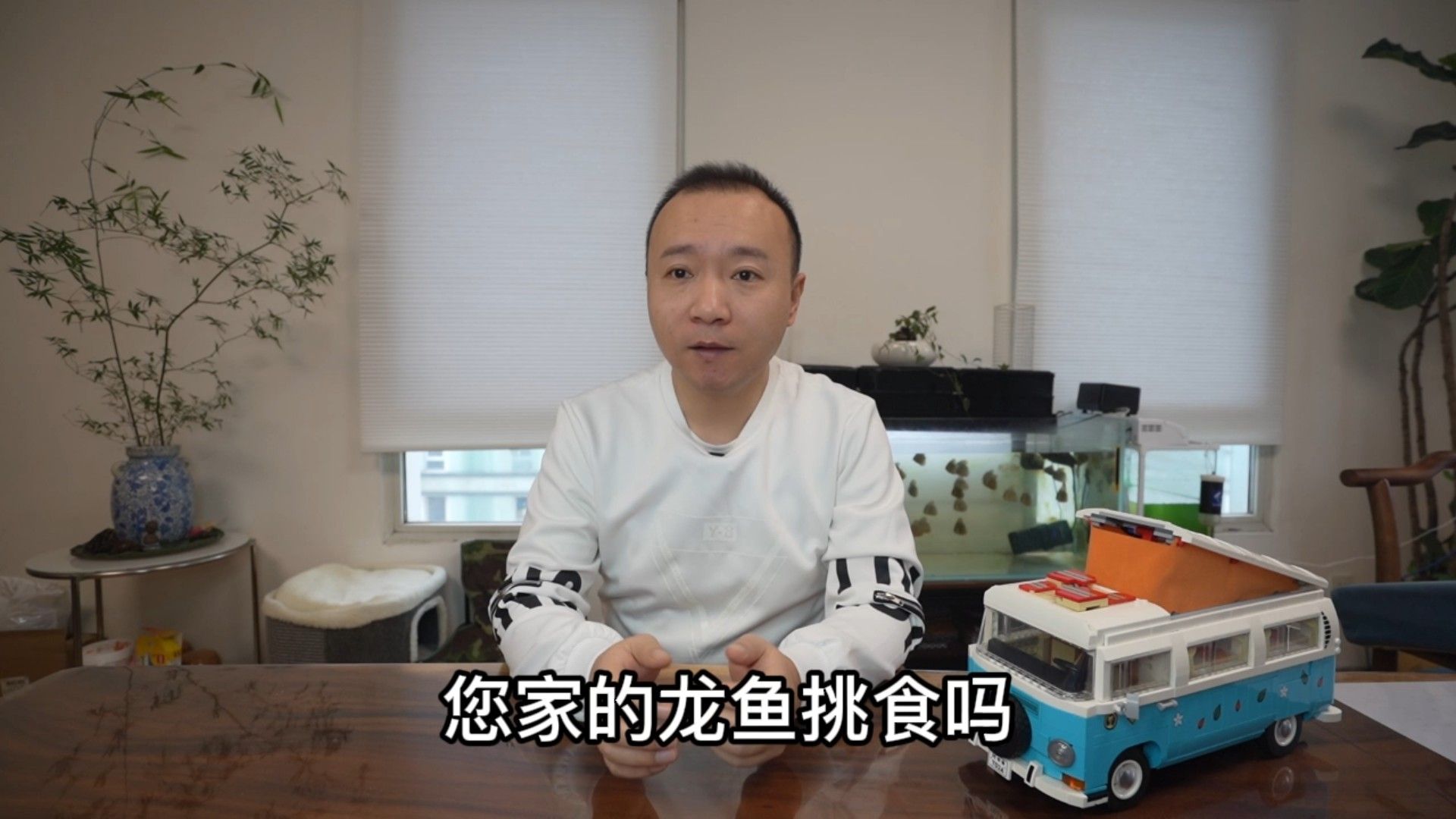 龍魚(yú)只吃面包蟲(chóng)不吃小魚(yú)背后的原因及解決方案有哪些（寵物營(yíng)養(yǎng)師，龍魚(yú)拒食怎么辦）