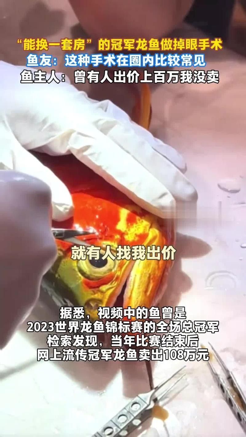 山東聊城冠縣民擁觀賞魚養殖場是否養龍魚冠縣龍魚（冠縣龍魚有哪些品種？）