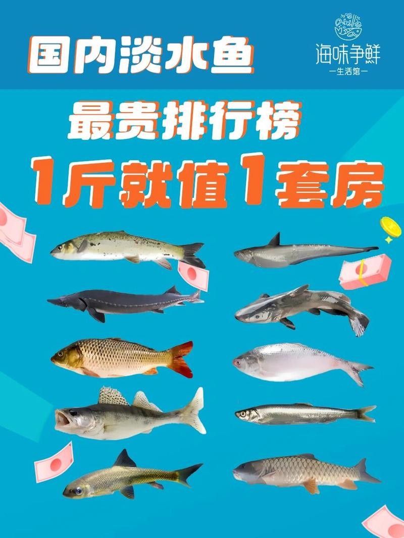 魚類排行榜前十名（2018年全球魚類排行榜前十名）