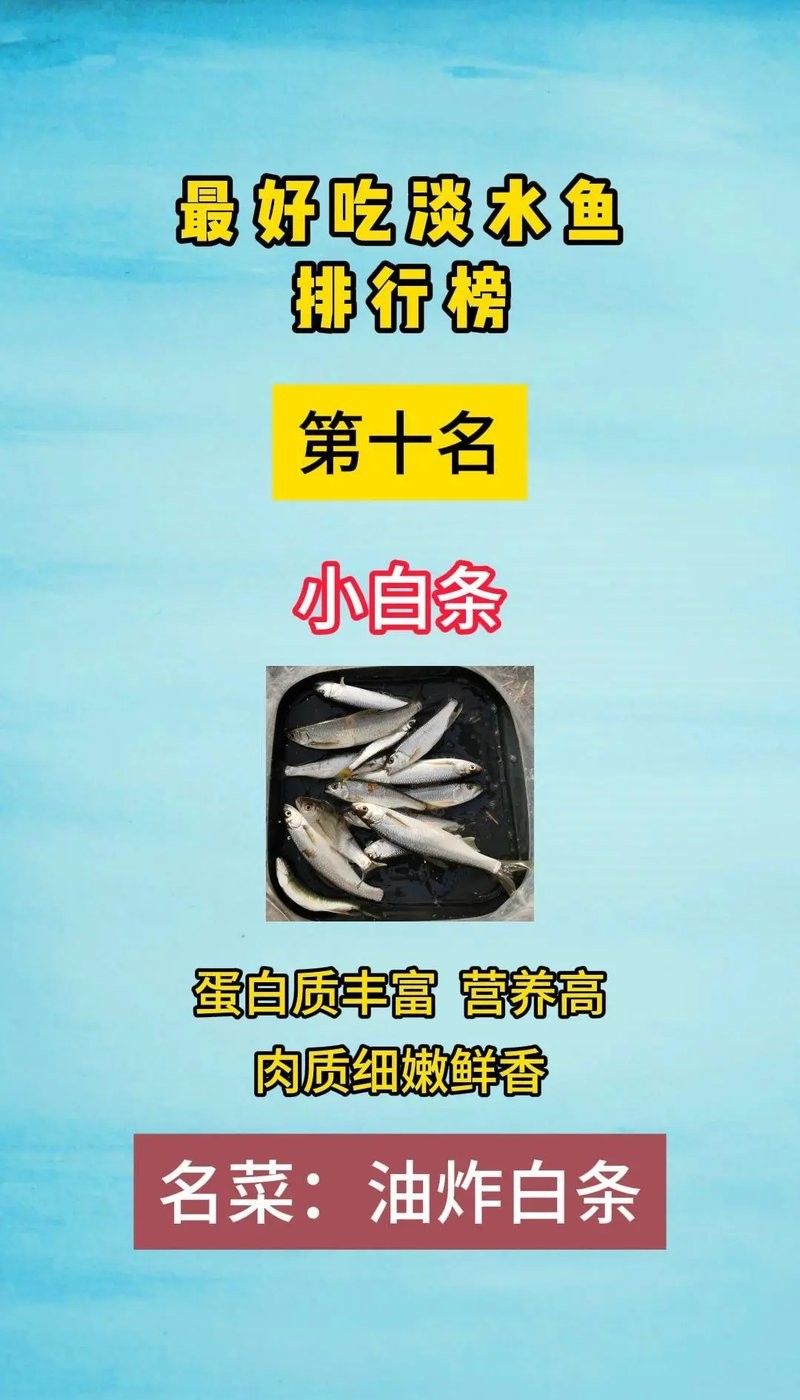 魚類排行榜前十名（2018年全球魚類排行榜前十名）