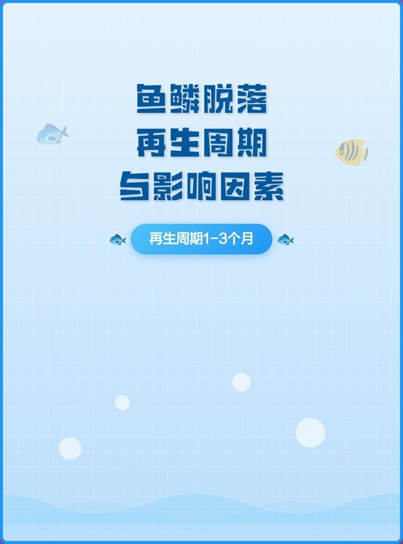 龍魚鱗片掉落能恢復掌握這些技巧讓它們重生全民小視頻（紅龍魚鱗片掉落能恢復掌握這些技巧讓它們重生全民小視頻）