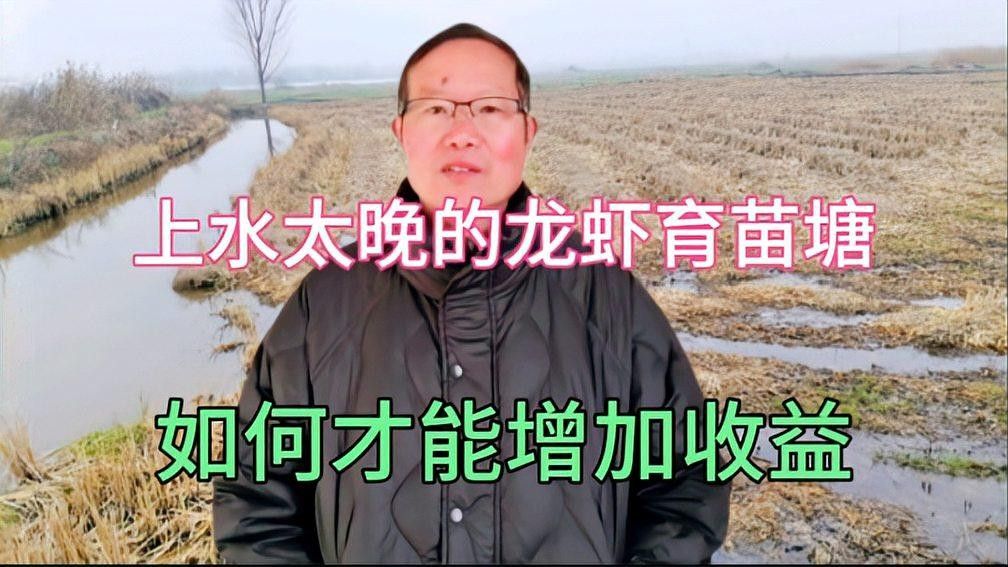 龍蝦養殖技術視頻提供了一種詳細的方法來指導如何養殖龍蝦（剪影柒龍蝦怎么養殖剪影柒龍蝦怎么養殖龍蝦的關鍵要點）