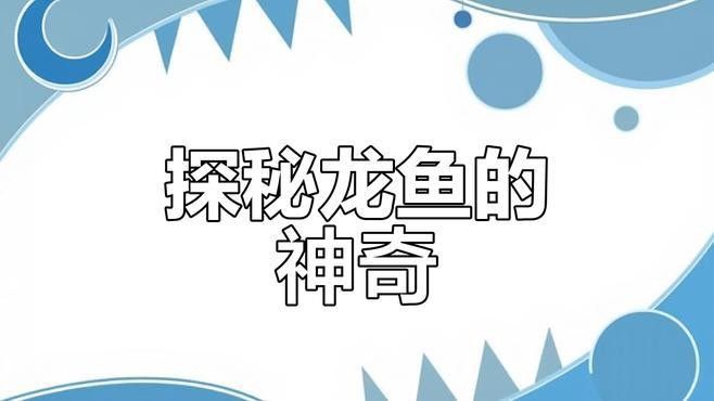 水龍魚的生活習性與養護技巧（水龍魚有哪些常見的烹飪方法水龍魚適合哪些人群食用）
