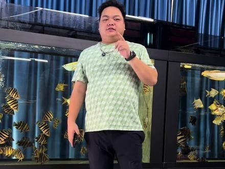 龍魚胡須斷了還能長出來嗎龍魚胡須斷了還能長出來嗎（龍魚斷須竟能重生,奇跡恢復全過程揭秘）